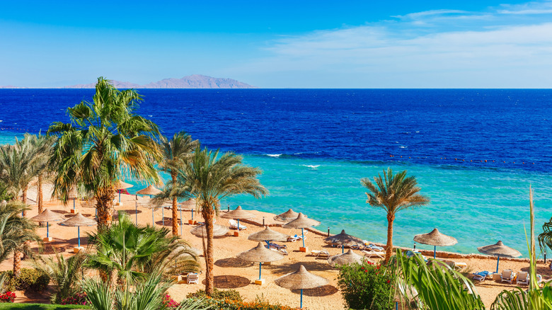 Beach and palm trees on Red Sea in Sharm el Sheikh, Sinai, Egypt