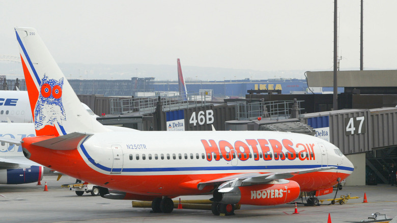 Hooters Air plane