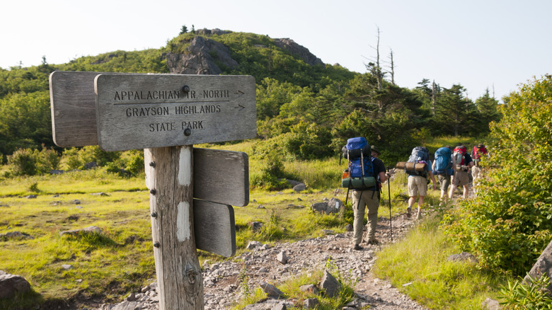 A group of hikers on the Appalachian Trail