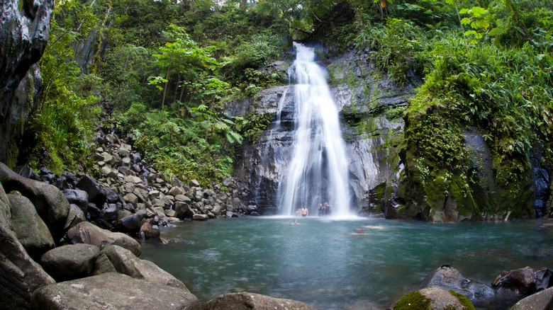 Cocos Island National Park, Costa Rica