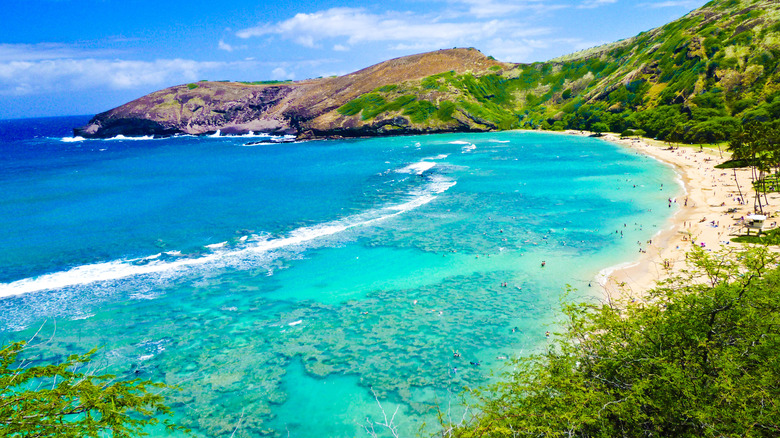 tropical beach
