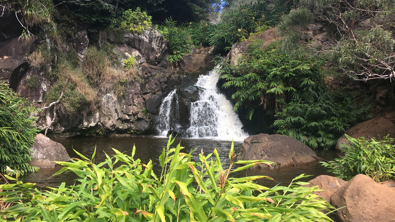 Waimea Falls, Oahu
