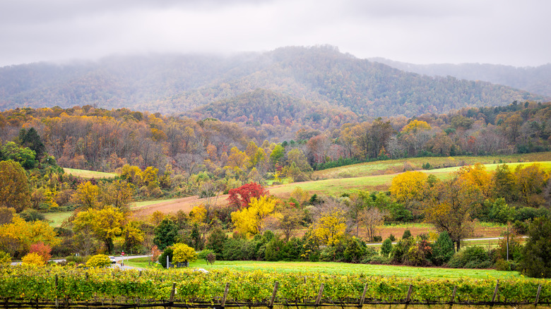 Virginia winery in fall 
