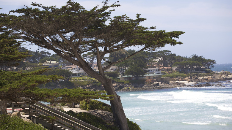 Carmel Point in Carmel, California