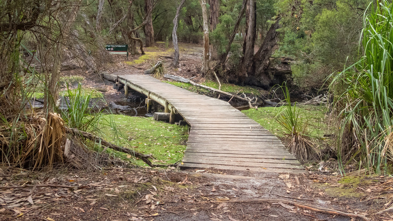 Footbridge at the Refuge Cove campground - Wilsons Promontory, Victoria, Australia