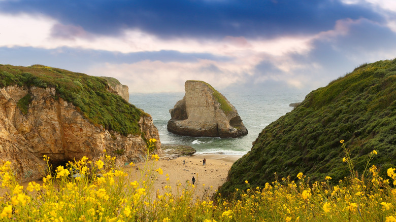 Shark Fin Cove at sunset during low tide