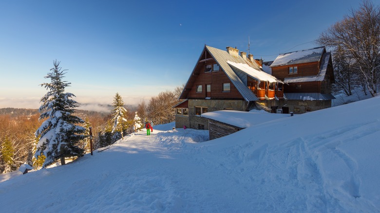 Alpine hostel