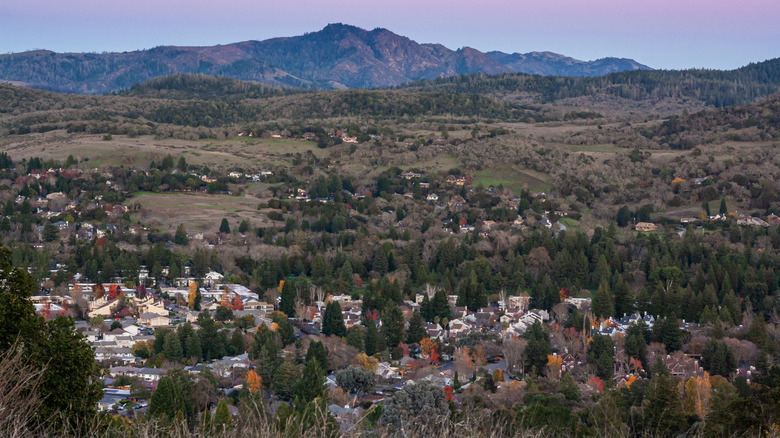 Aerial view of Santa Rosa