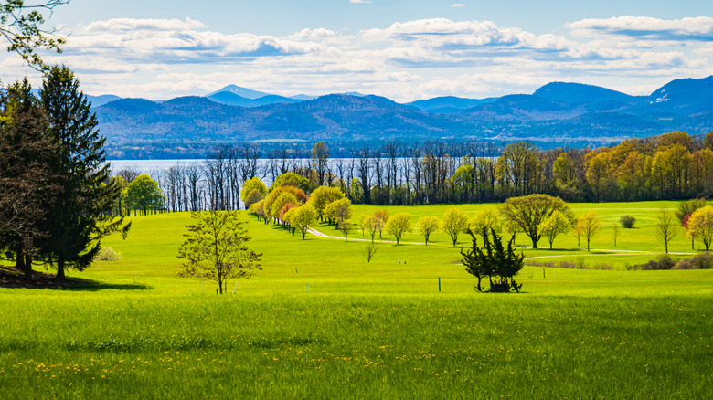 View of the Lake Champlain waterfront