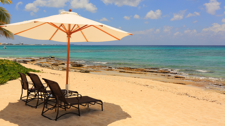 Empty chairs on sunny beach