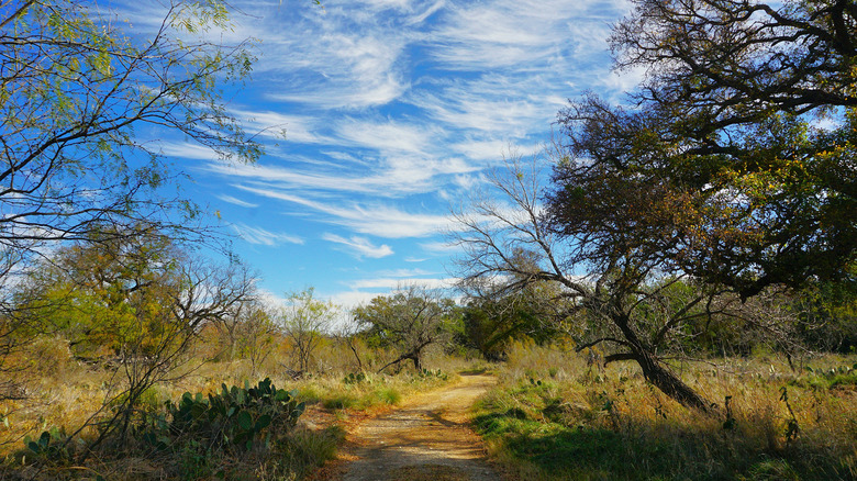 Scenic trail at South Llano River State Park