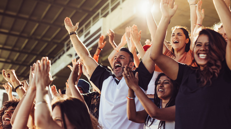 fans cheering in stadium