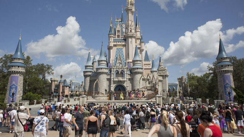 people at Disney World castle