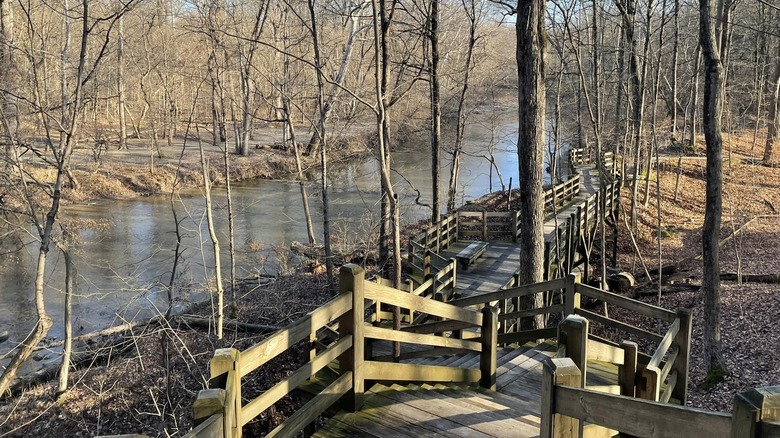 Observation deck on Fall Creek Trail