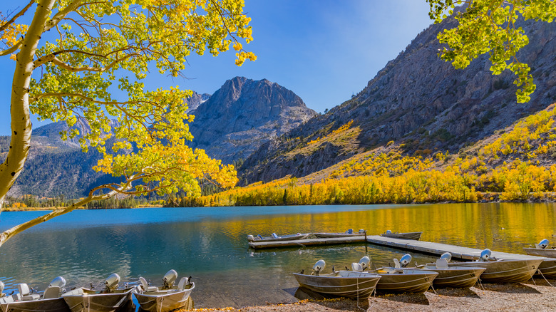 Boats lined up at lake pier in fall with mountain views