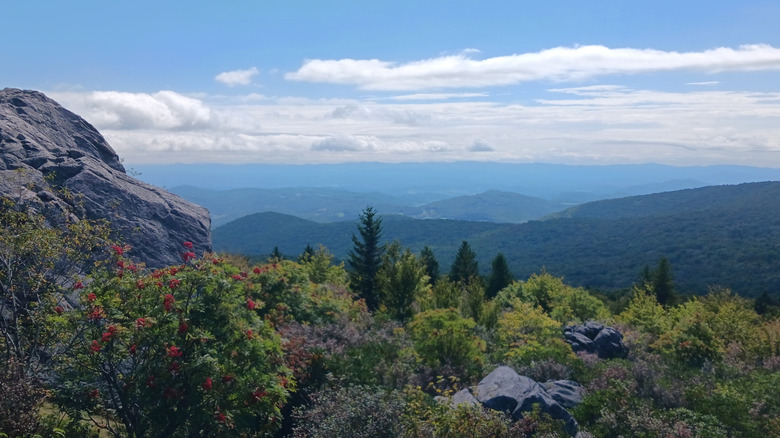 rocky outcrops and scrub over Mount Rogers Recreation Area