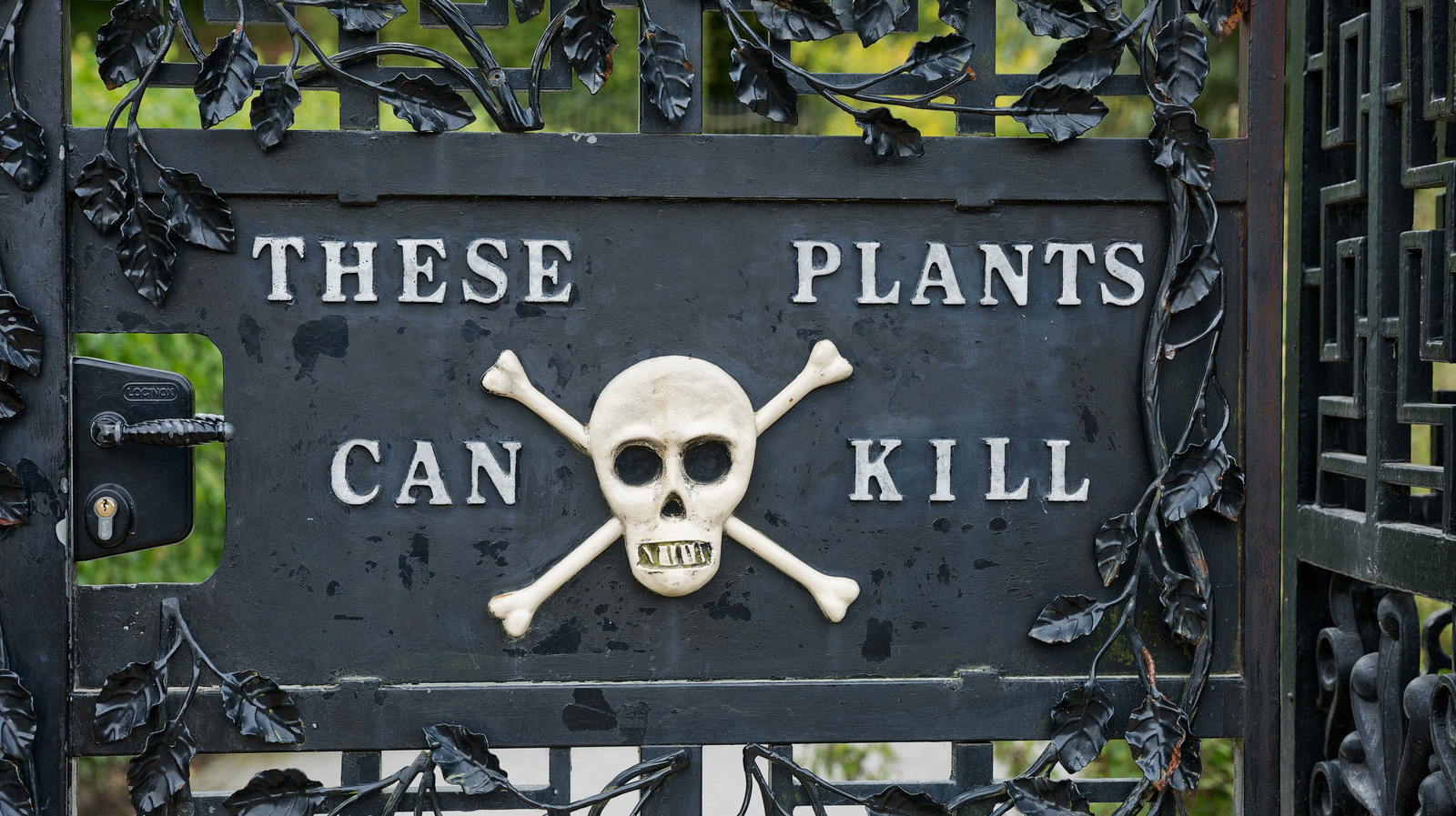 The Most Dangerous Garden In The World? To Alnwick Garden
