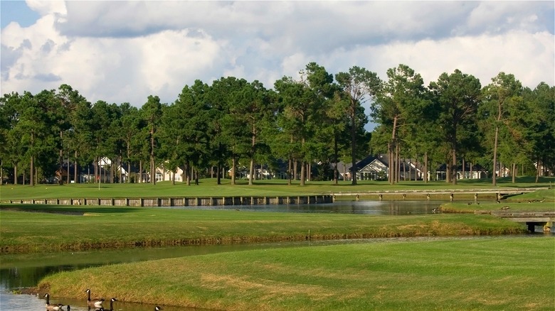 Golf course in South Carolina