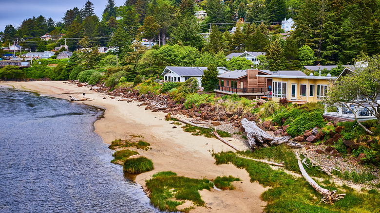 View of a beach with houses along the coast