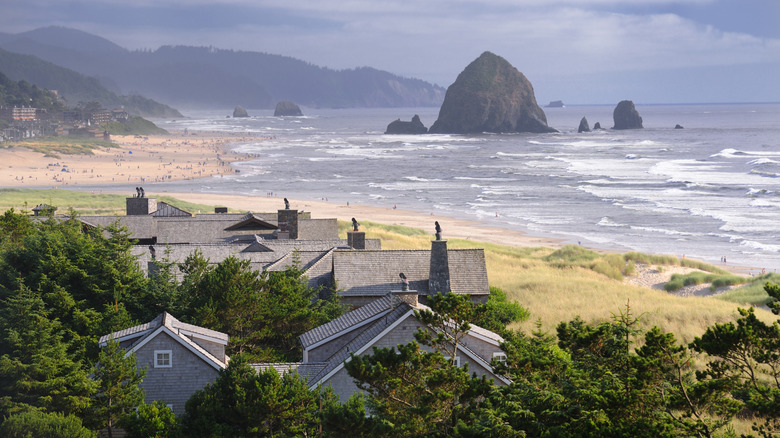 Houses surrounded by greenery and a beach in the background