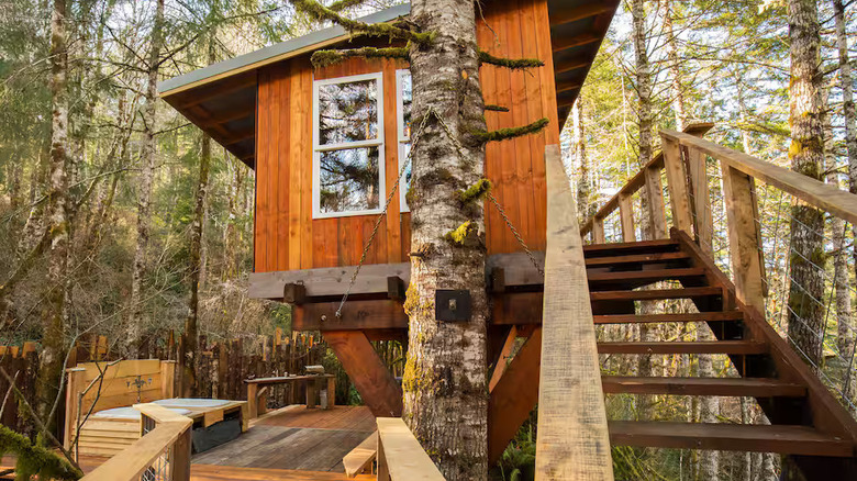 A Treehouse surrounded by greenery