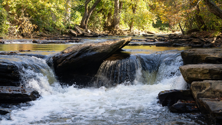 calming waterfall in the Chattahoochee River National Recreation Area