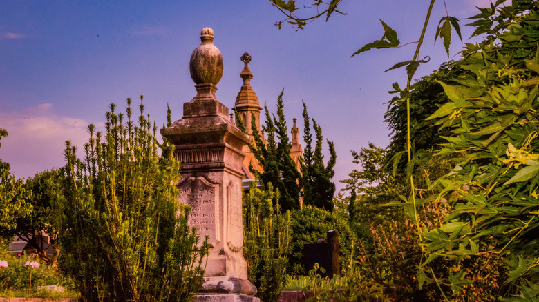 lush gardens and architecture of the Oakland Cemetery