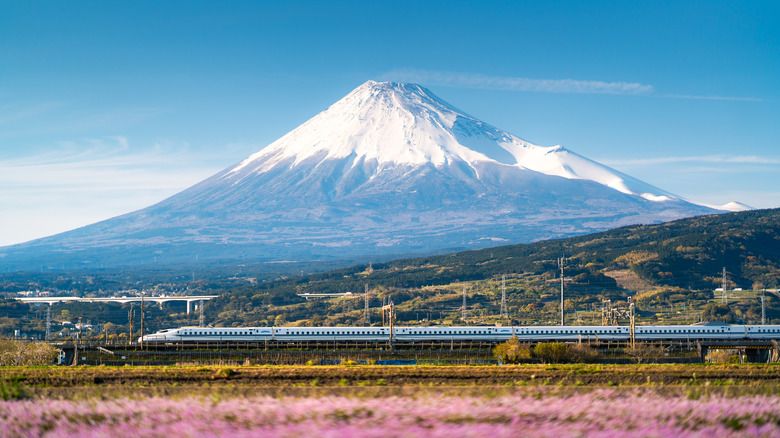 A Shinkansen train driving past Mt. Fuji