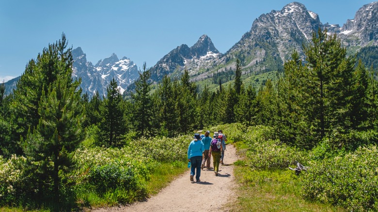 Hikers on a trail through Grand Teton National Park