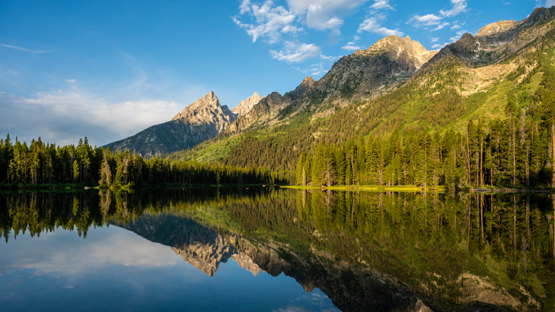 Mountains and forest around String Lake and reflected in its waters at Grand Teton National Park