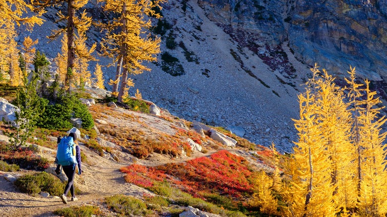 A woman with a blue backpack walking along a rocky mountain path