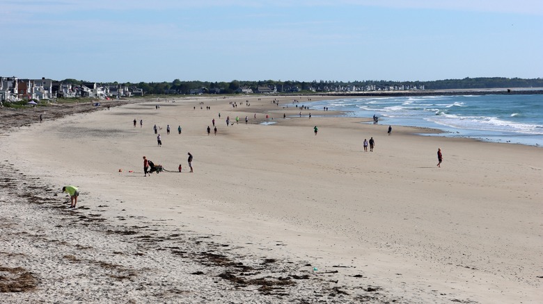 Wells, ME beach