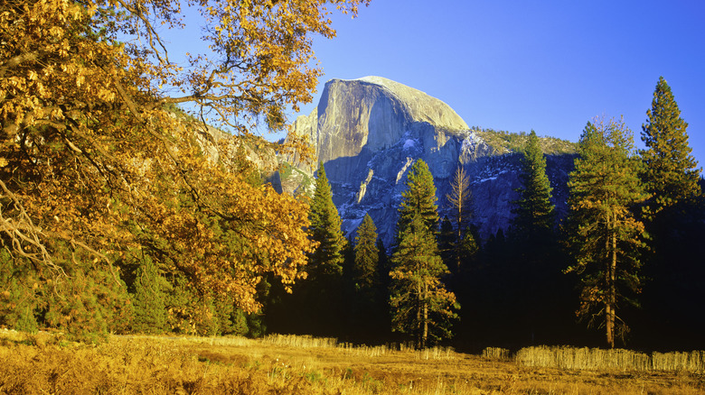 Yosemite National Park in autumn