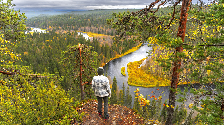 Rear view of a young woman enjoying the wilderness landscape of a river flowing in the forest, Oulanka National Park, Finland