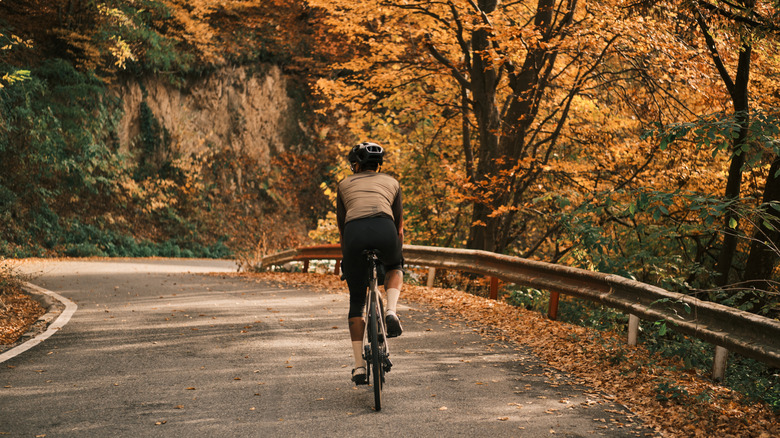 Cyclist riding on a scenic autumn road surrounded by vibrant fall foliage in Romania's Carpathian Mountains.