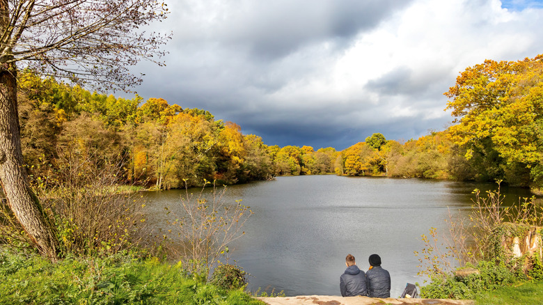Two people sitting by Cannop Ponds in the Forest of Dean during the autumn