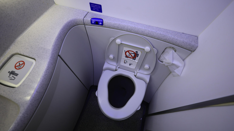 Airplane lavatory toilet