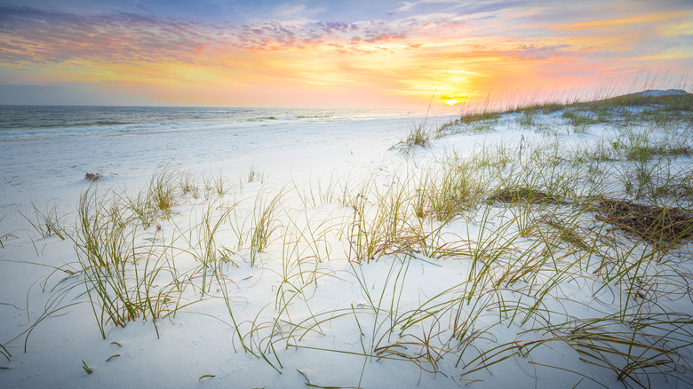 Florida Panhandle Beach