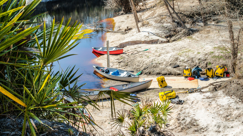 Suwannee River Florida