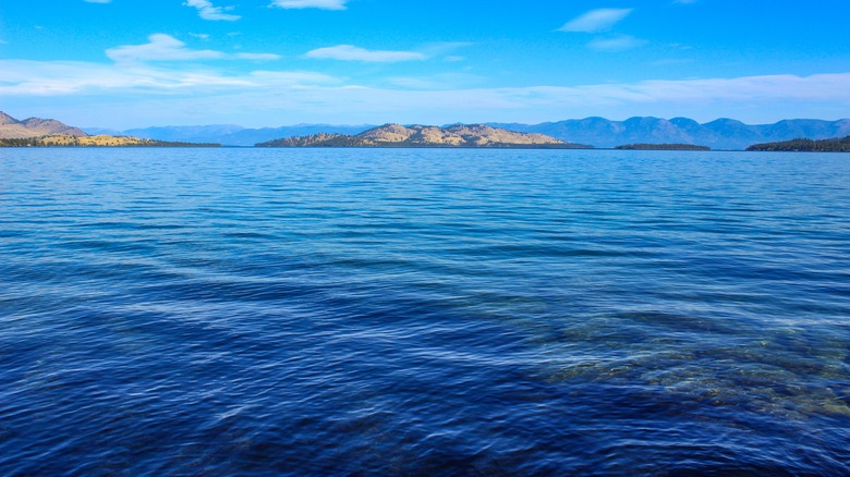 Wild Horse Island on Flathead Lake in Montana