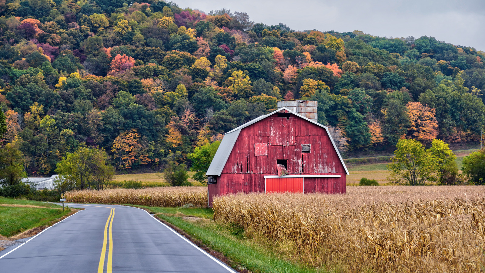 Parks To Visit In Ohio For Fall Foliage And Seasonal Fun Without Crowds
