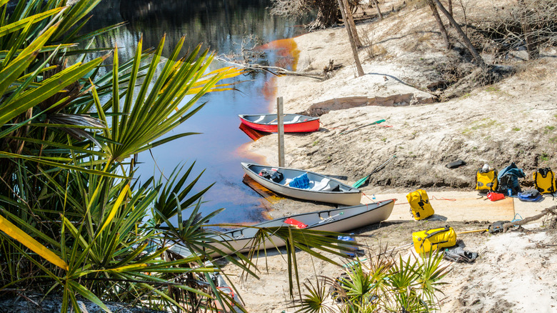 Canoes on the Suwannee River