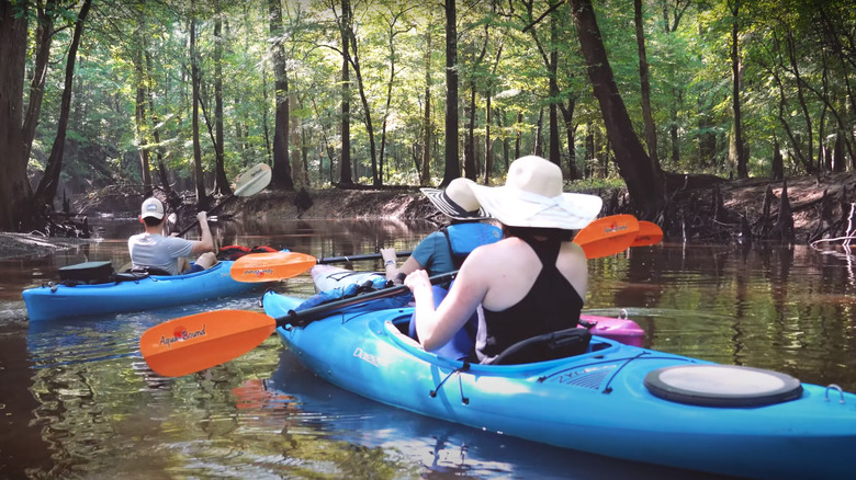 Kayaking through Congaree National Park