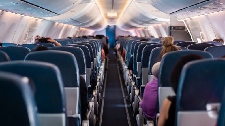 View of plane's economy class