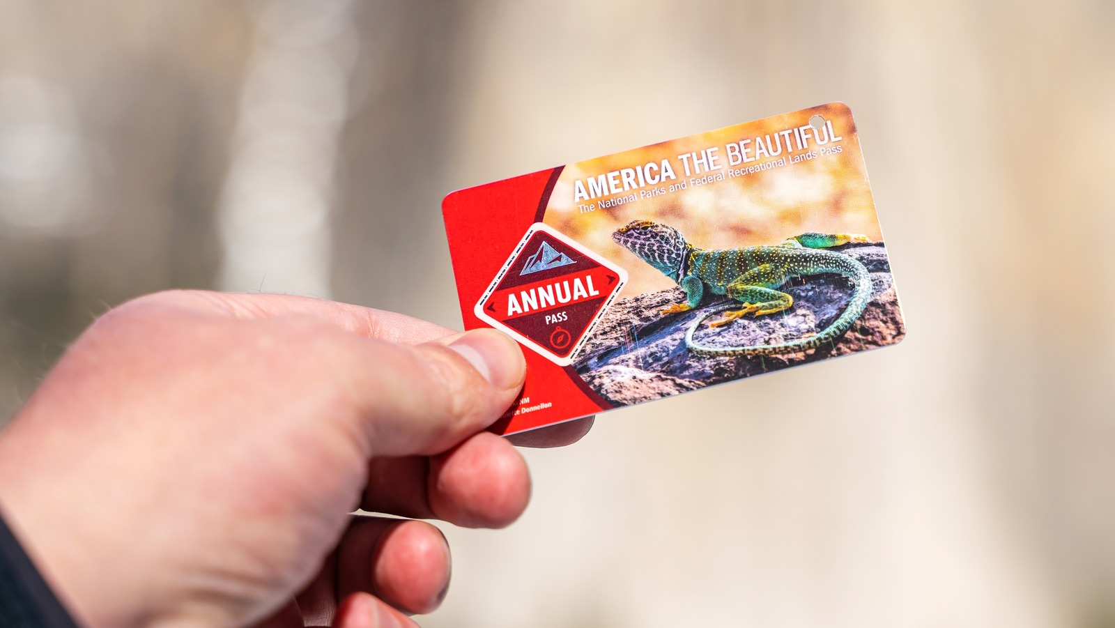 the-unexpected-reason-you-should-never-put-your-national-parks-pass-on