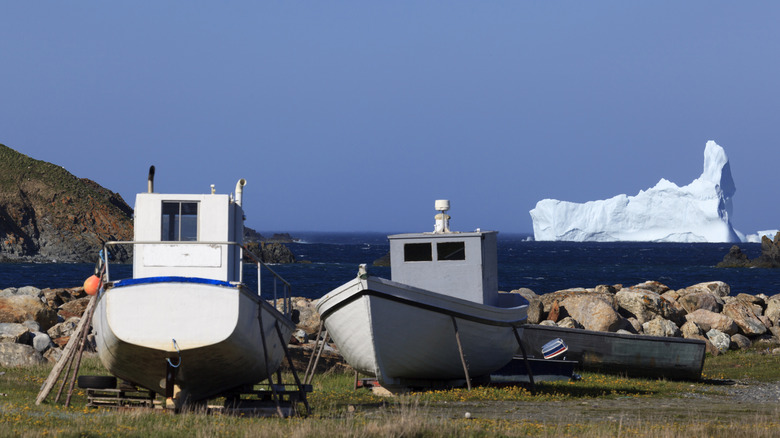 Iceberg Alley Newfoundland Canada