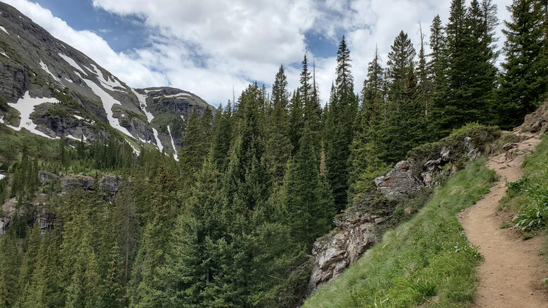mountain and forest view from Ice Lake hiking trail in Colorado