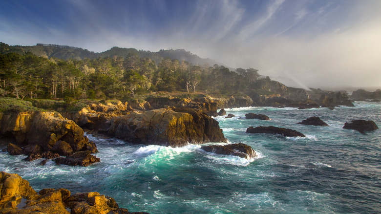 Point Lobos Park Carmel-by-the-Sea, California