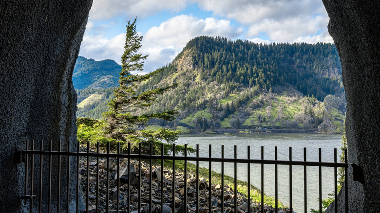 A scenic overlook of Colombia River Gorge in Hood RIver