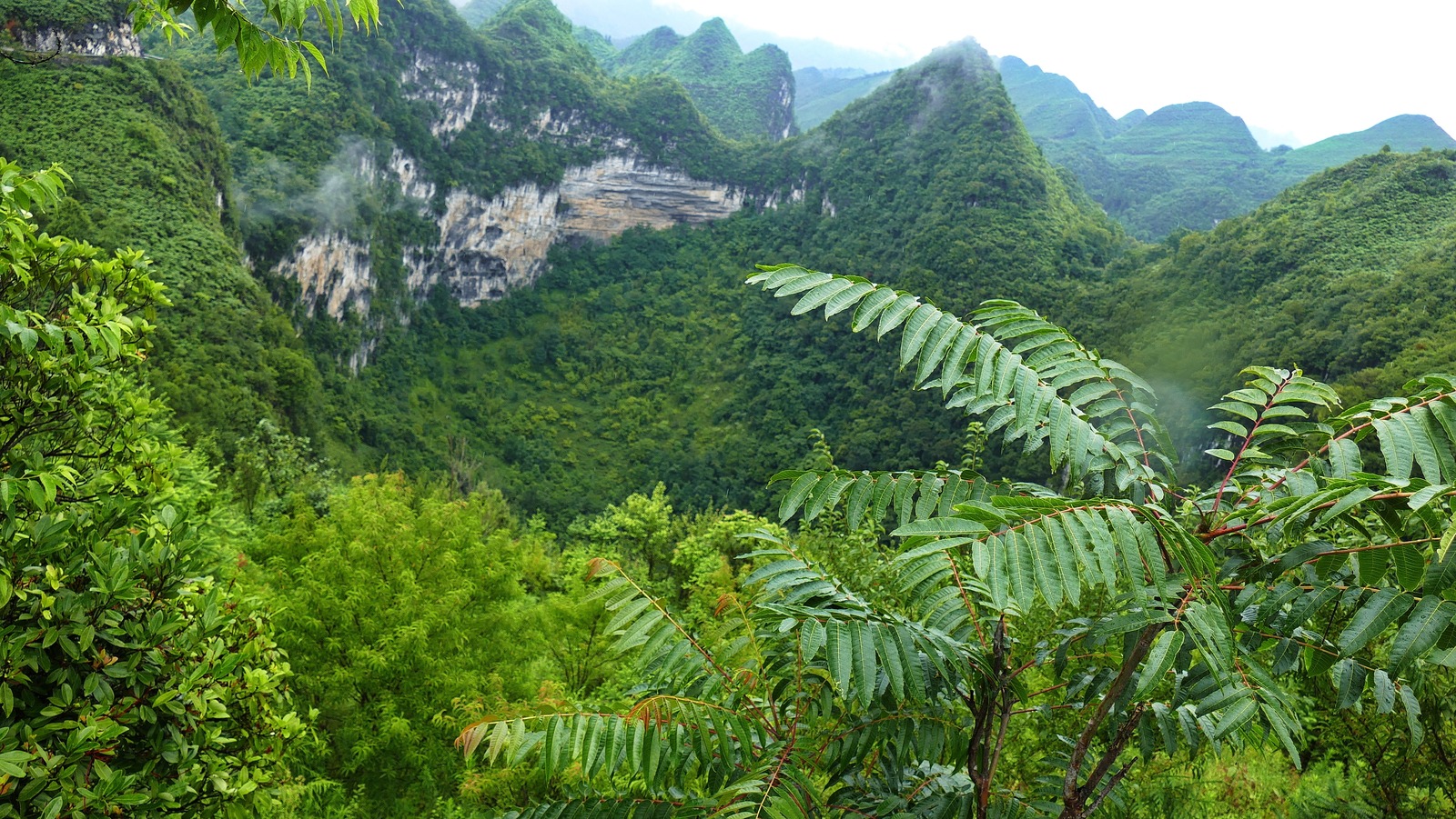 Visit The World's Largest Sinkhole In The World, Xiaozhai Tiankeng, image size:1600x901